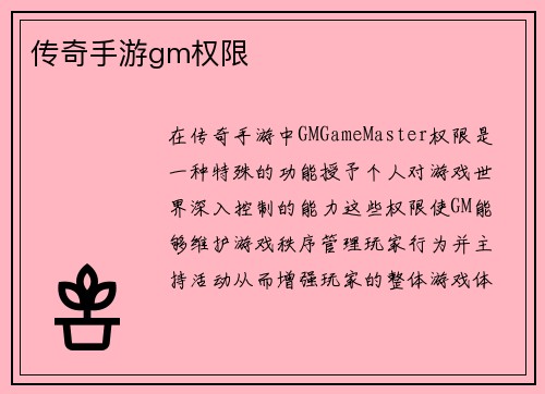 传奇手游gm权限